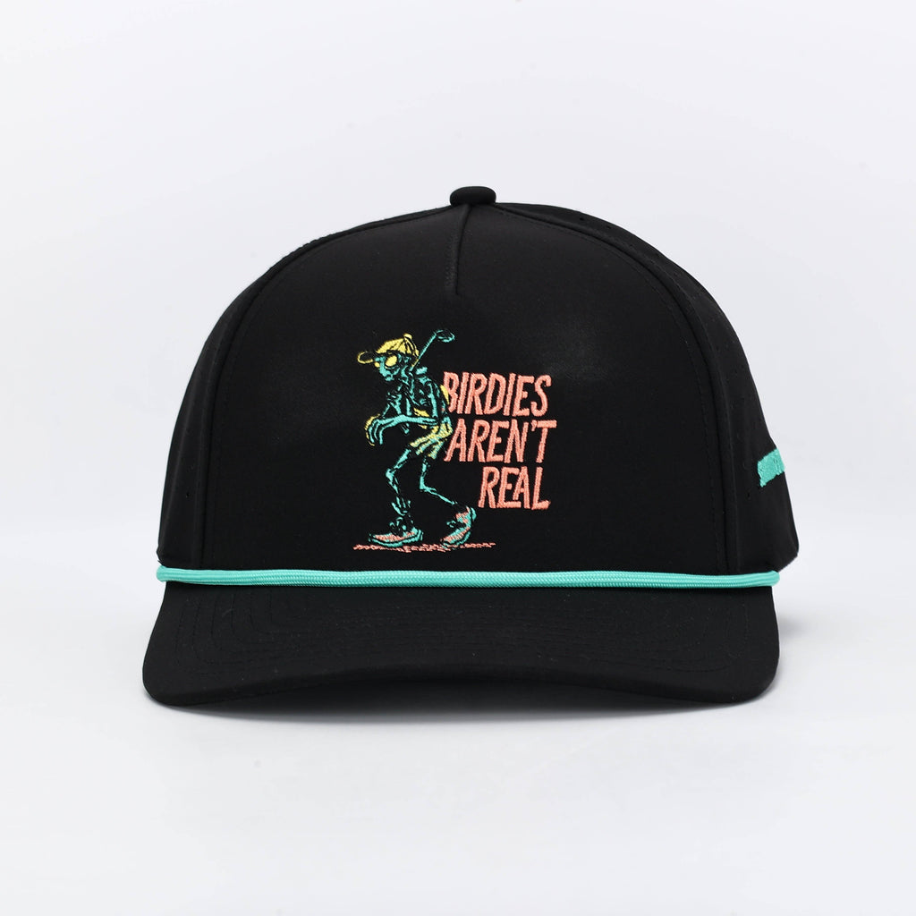UFO Joe Birdies Arent Real Hat